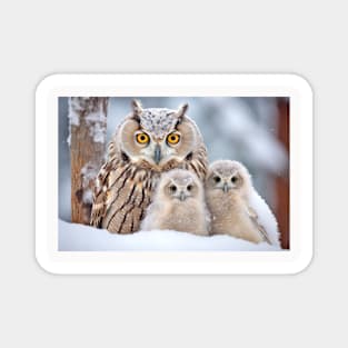 Owl Animal Bird Beauty Freedom Wilderness Enchanting Magnet