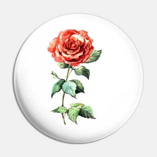 Watercolor rose Pin