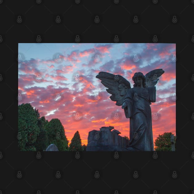 Angel at Sunset Harlow Hill Cemetery by Spookydaz