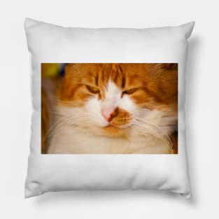 kli attitude kity Pillow