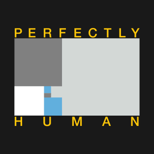 Perfectly Human - Demiboy Pride Flag T-Shirt