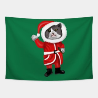 Santa Cat Funny Cat Lovers Christmas Gift Tapestry