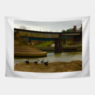 All Duckies in a Row a Buffalo Bayou Tapestry