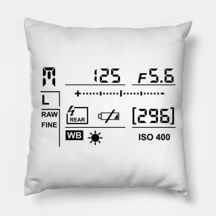 Camera Display Pillow