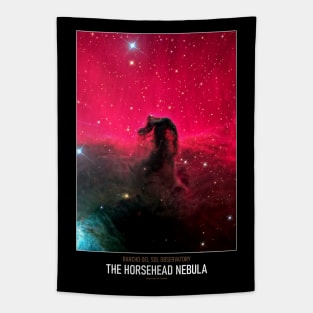 High Resolution Astronomy The Horsehead Nebula Tapestry