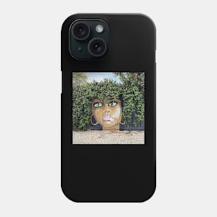 Wall murral Phone Case