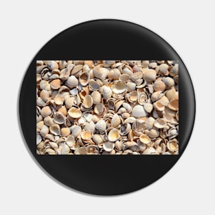 Background Of Beach Shells Pin