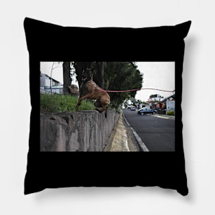 Walk with dog Pillow