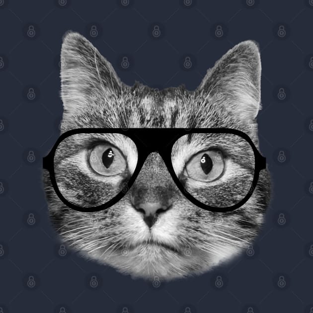 Cat wearing glasses by Purrfect