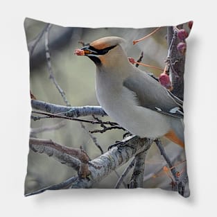 Bohemian waxwing feasting on berries Pillow