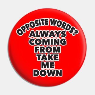 Opposite Words Pin