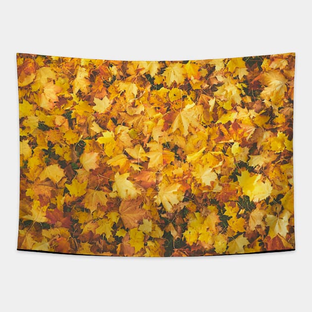 Yellow Fallen Leaves Pattern Tapestry by mikels