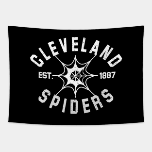 CLEVELAND SPIDERS 1887 DEFUNCT Tapestry