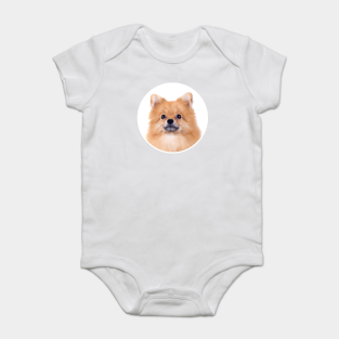 pomeranian onesie