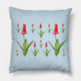 Tulipa  &#39;Marquis de la Coquette&#39;    Greigii Group Tulip Pillow