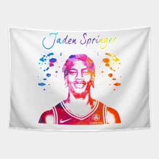 Jaden Springer Tapestry