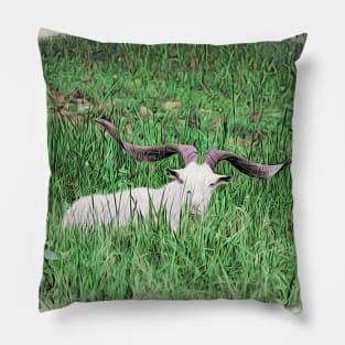 Billy goat Pillow