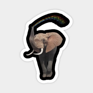 Elephant with rainbow - Elephants in Africa Magnet