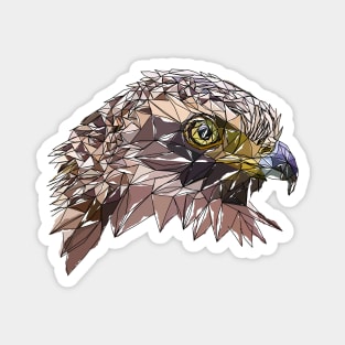 Crested Serpent-eagle watercolor Magnet