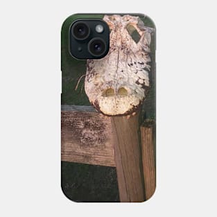 Alligator Skull Phone Case