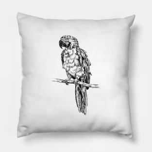 Parrot image Pillow