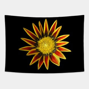 red yellow flower, flowers, nature, blooms, garden Tapestry