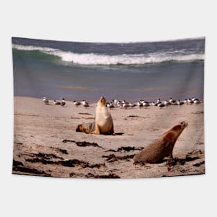 Sea Lions on the Beach Tapestry