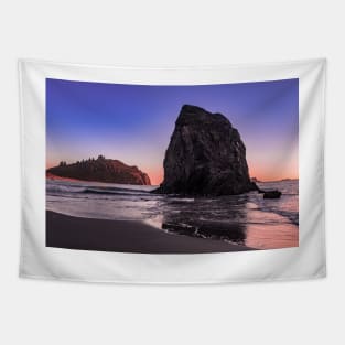 Coastal rock at Trinidad State Beach Tapestry