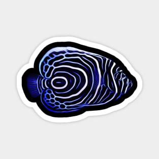 Imperator Angelfish Magnet