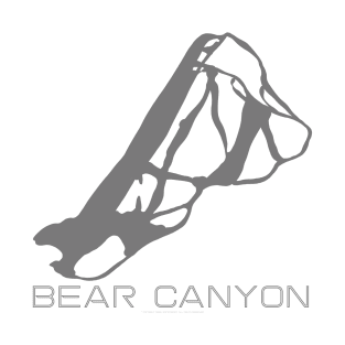 Bear Canyon Resort 3D T-Shirt