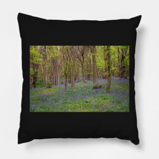 Margam Forest Bluebells Pillow