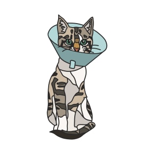 Tabby Cat with Cone T-Shirt