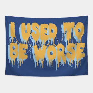 I Used To Be Worse - Aesthetic, Meme Tapestry