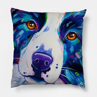 Border Collie Dog Close Up Pillow