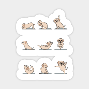 Labrador Retrievers Yoga Magnet