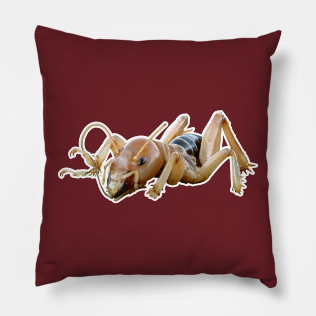 Potato Bug Pillow by mredthefed