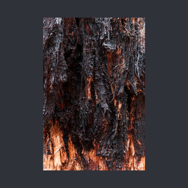 Vibrant Tree Oozing Sap From Trunk - Alternative VI by textural
