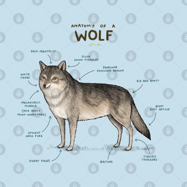 Anatomy of a Wolf by Sophie Corrigan