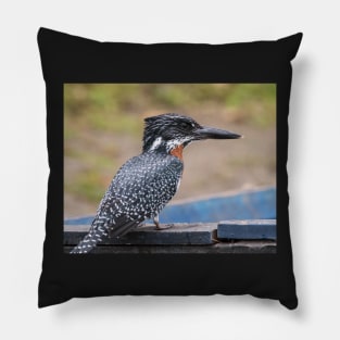 Giant Kingfisher Pillow