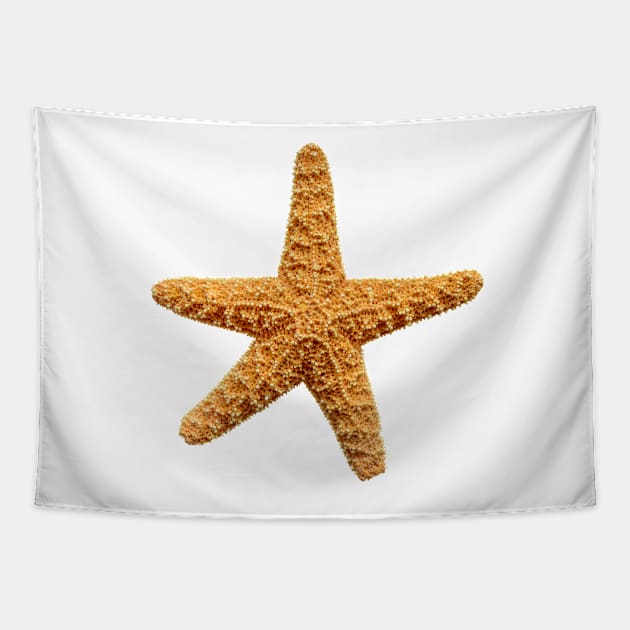 Starfish Tapestry by mrdoomits