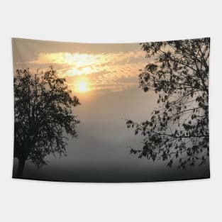 Trees in the fog during the sunset Tapestry