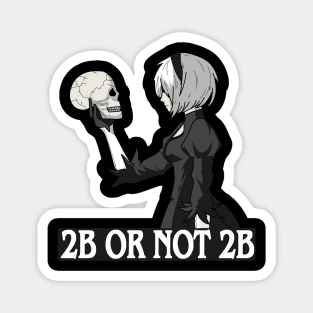 2B or not 2B Magnet