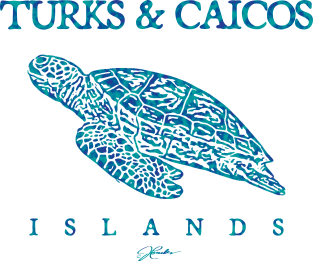 Turks & Caicos Islands Gliding Sea Turtle Magnet