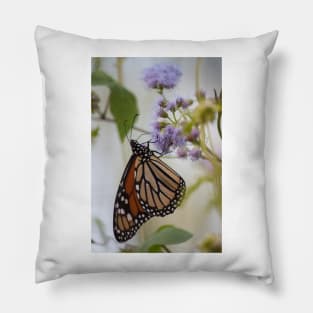 Migration Series VIII Pillow