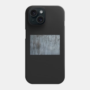 Pond code Phone Case