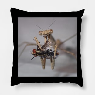 Praying Mantis with a fly. Pillow