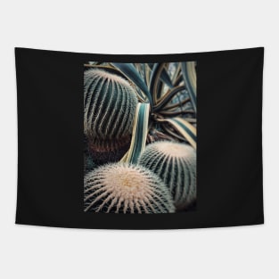 Desert Vibes Tapestry