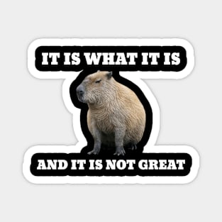 It Is What It Is And It Is Not Great Capybara Magnet