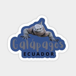 Galápagos Iguana - Ecuador Magnet