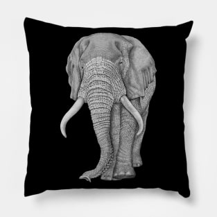 African elephant Pillow